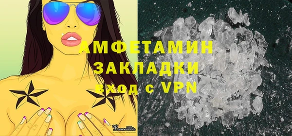 прущие грибы Новозыбков