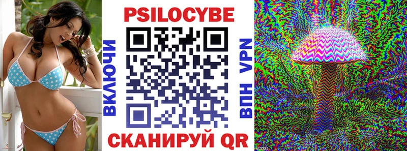 OMG ССЫЛКА  купить наркотики цена  Пошехонье  Псилоцибиновые грибы Psilocybine cubensis 